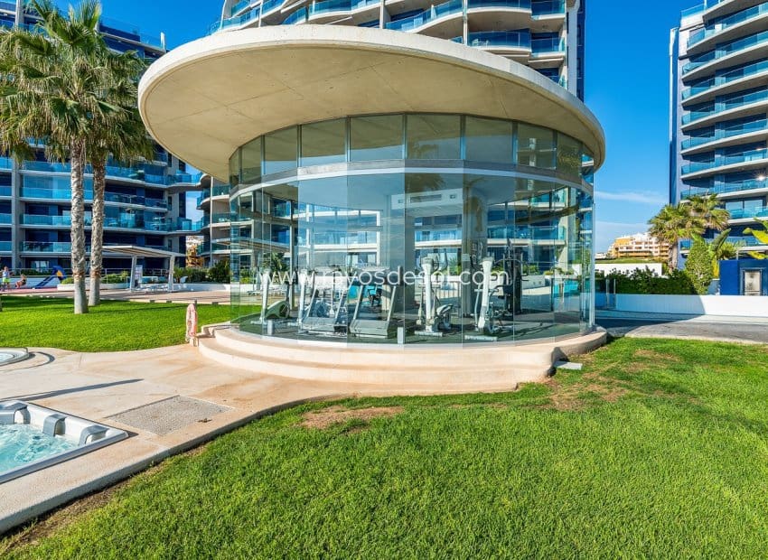 2 soveværelse Lejlighed til salg i Punta Prima med swimmingpool - € 420.000 (Ref: 9285646)