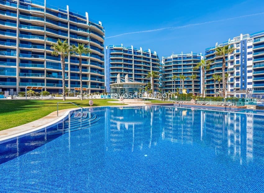 2 soveværelse Lejlighed til salg i Punta Prima med swimmingpool - € 420.000 (Ref: 9285646)