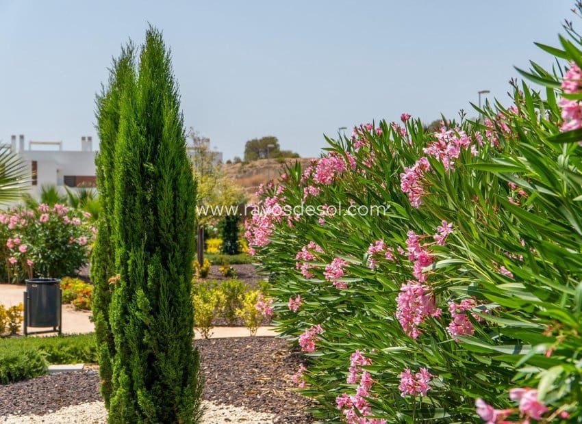 Apartamento de 2 habitaciones en Vistabella en venta con piscina - 269.900 € (Ref: 9297785)