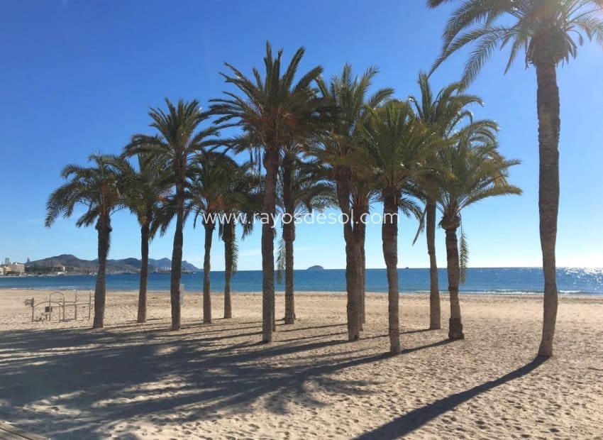 2 bedroom Apartment for sale in La Villajoyosa / Vila Joiosa with garage - € 350,000 (Ref: 9395473)