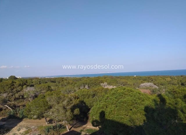 3 Zimmer Apartment zu verkaufen in Zona Pueblo, Guardamar del Segura mit Pool - 282.000 € (Ref: 9438125)