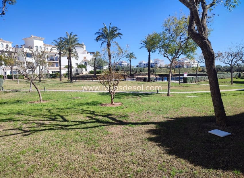 2 soverom Leilighet til salgs i Sucina med svømmebasseng - € 189 000 (Ref: 9687564)