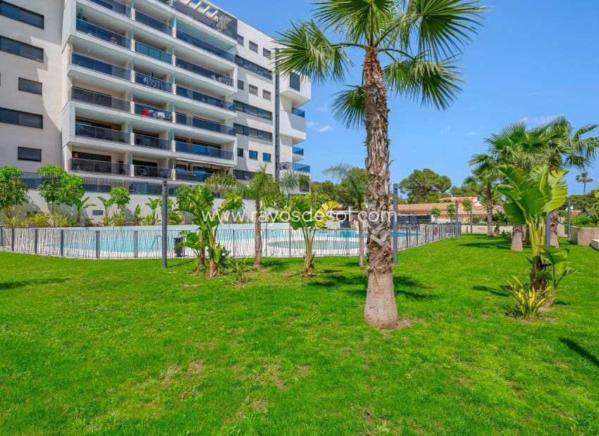 3 sypialnia Apartament na sprzedaż w Dehesa de Campoamor z basenem - 339 000 € (Ref: 9815063)