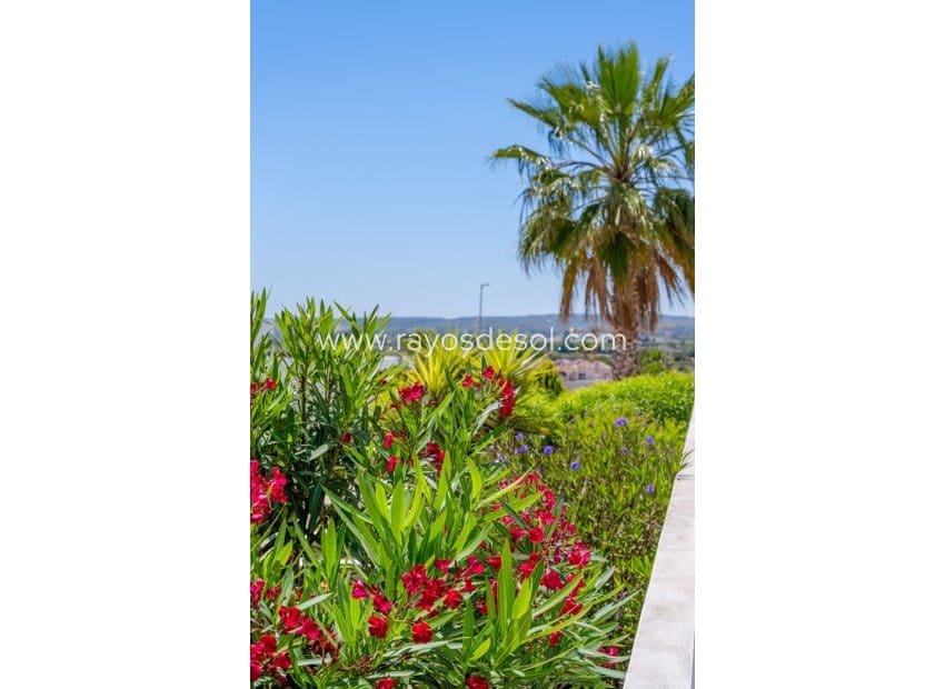 3 soveværelse Villa til salg i La Marina med swimmingpool - € 595.000 (Ref: 9852180)