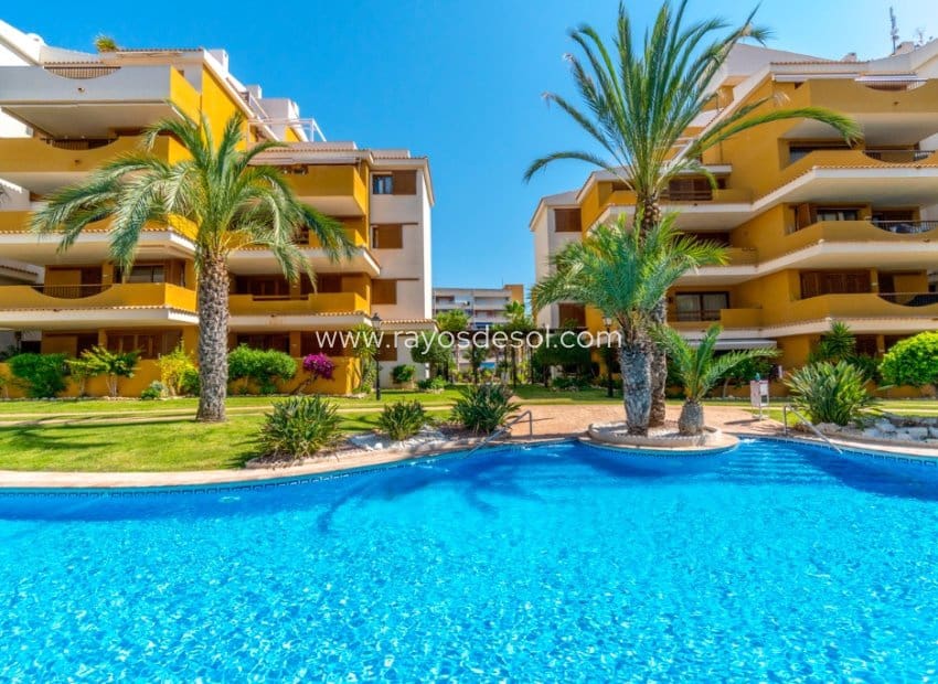 2 chambre Appartement à vendre à Punta Prima avec piscine - 260 000 € (Ref: 9879571)