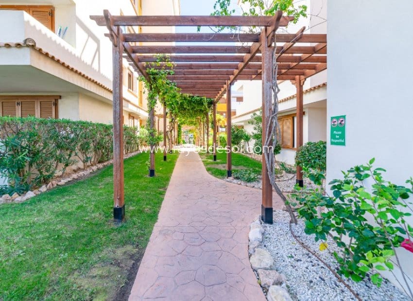 2 chambre Appartement à vendre à Punta Prima avec piscine - 260 000 € (Ref: 9879571)