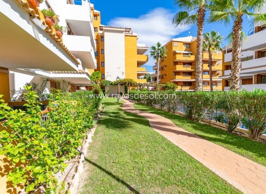 2 chambre Appartement à vendre à Punta Prima avec piscine - 260 000 € (Ref: 9879571)