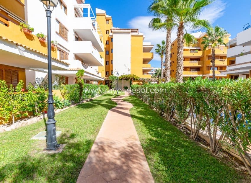 2 chambre Appartement à vendre à Punta Prima avec piscine - 260 000 € (Ref: 9879571)