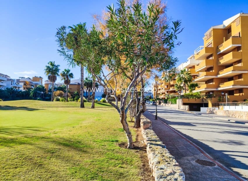 2 chambre Appartement à vendre à Punta Prima avec piscine - 260 000 € (Ref: 9879571)