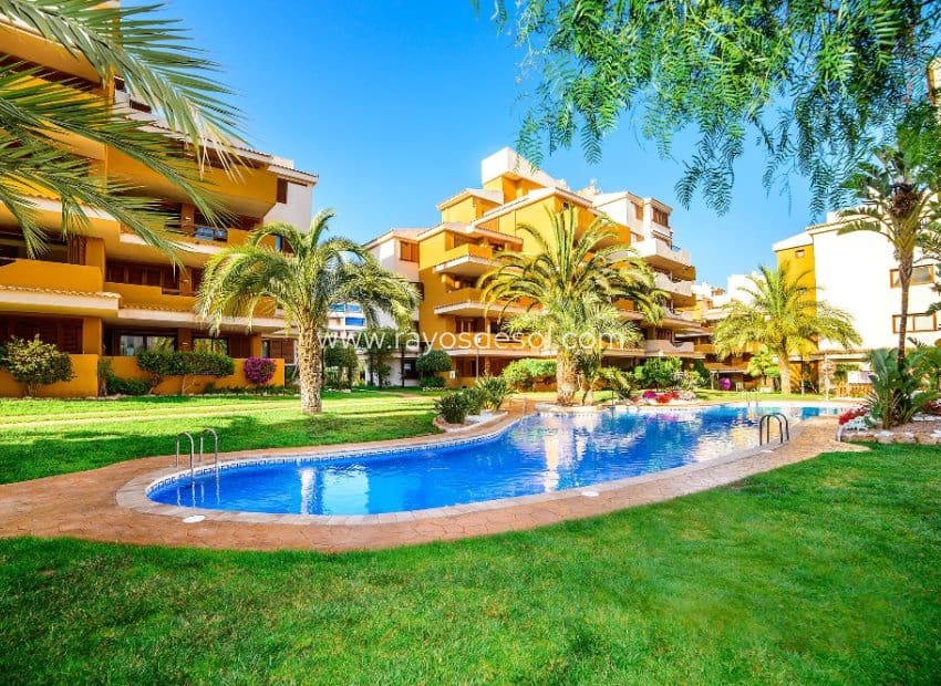 2 chambre Appartement à vendre à Punta Prima avec piscine - 260 000 € (Ref: 9879571)