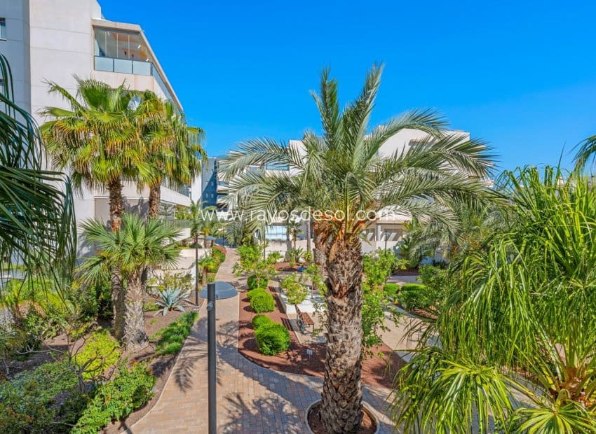 2 chambre Appartement à vendre à Los Dolses avec piscine - 229 000 € (Ref: 9889321)