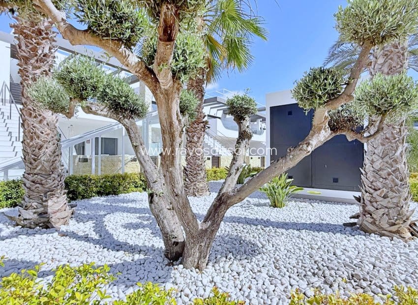 2 slaapkamer Penthouse te koop in Orihuela Costa - € 379.000 (Ref: 9914689)