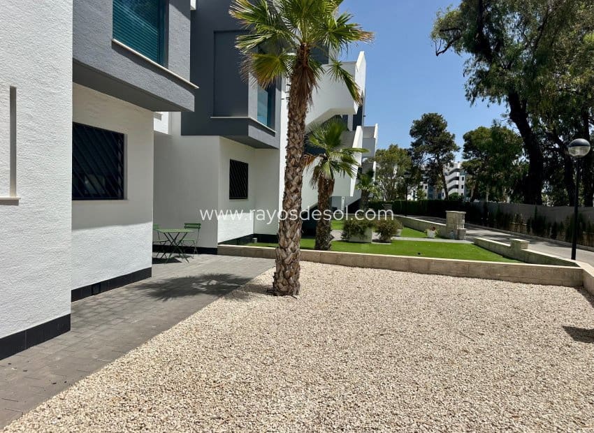 3 chambre Penthouse à vendre à El Raso avec piscine - 299 995 € (Ref: 9922900)