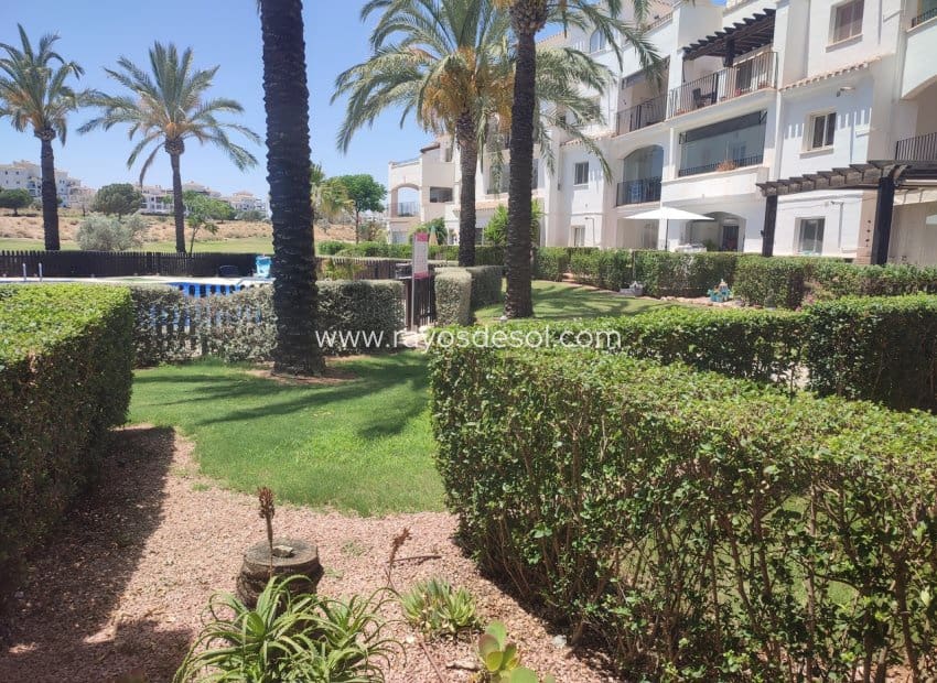 2 Zimmer Apartment zu verkaufen in Hacienda Riquelme mit Pool - 189.995 € (Ref: 9922901)