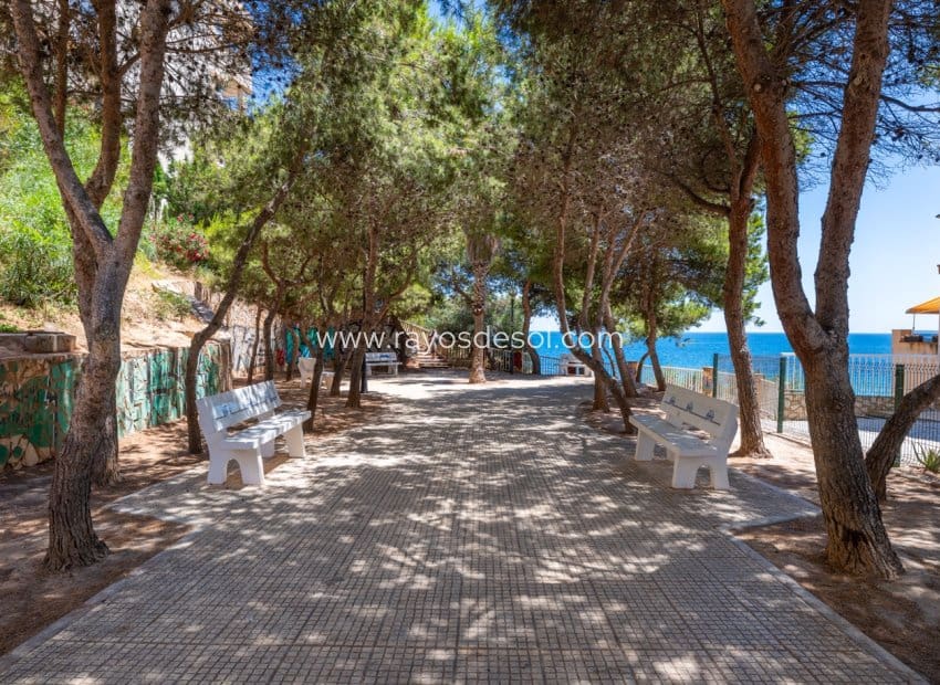 3 bedroom Apartment for sale in Cabo Roig with pool - € 320,000 (Ref: 9952837)