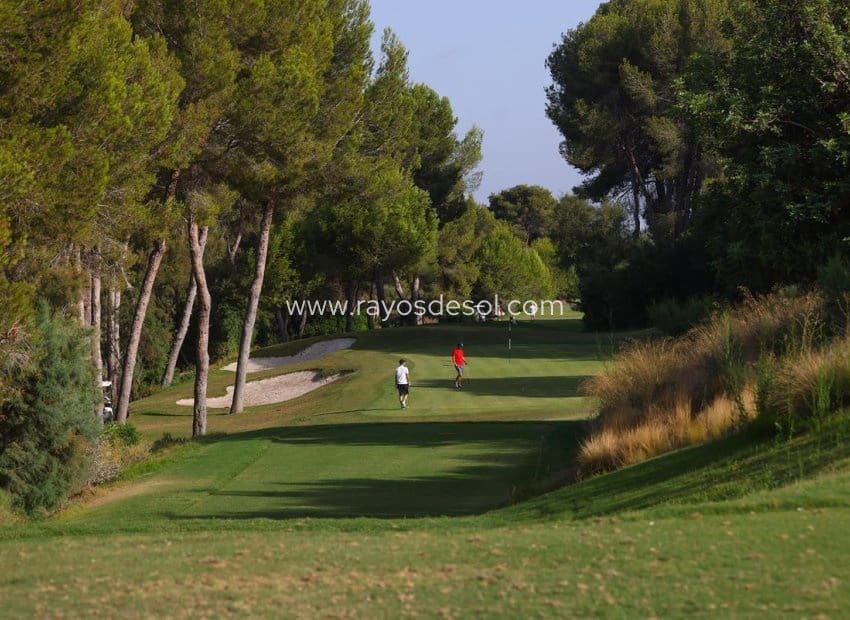 3 sovrum Villa till salu i Las Colinas Golf med pool - 1 090 000 € (Ref: 9956273)