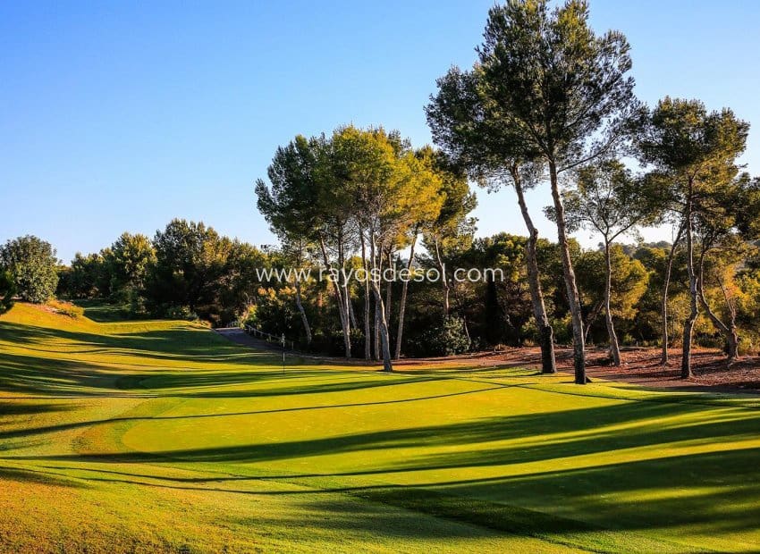 3 sovrum Villa till salu i Las Colinas Golf med pool - 1 090 000 € (Ref: 9956273)