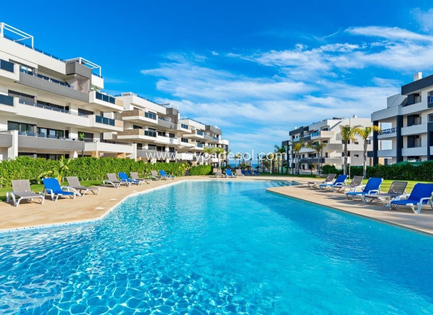 2 Zimmer Apartment zu verkaufen in Orihuela Costa mit Pool - 315.000 € (Ref: 9962310)