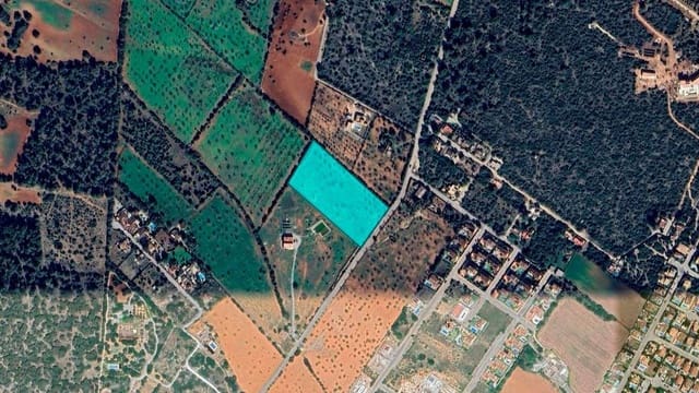 Tomt till salu i Campos - 565 000 € (Ref: 9406612)