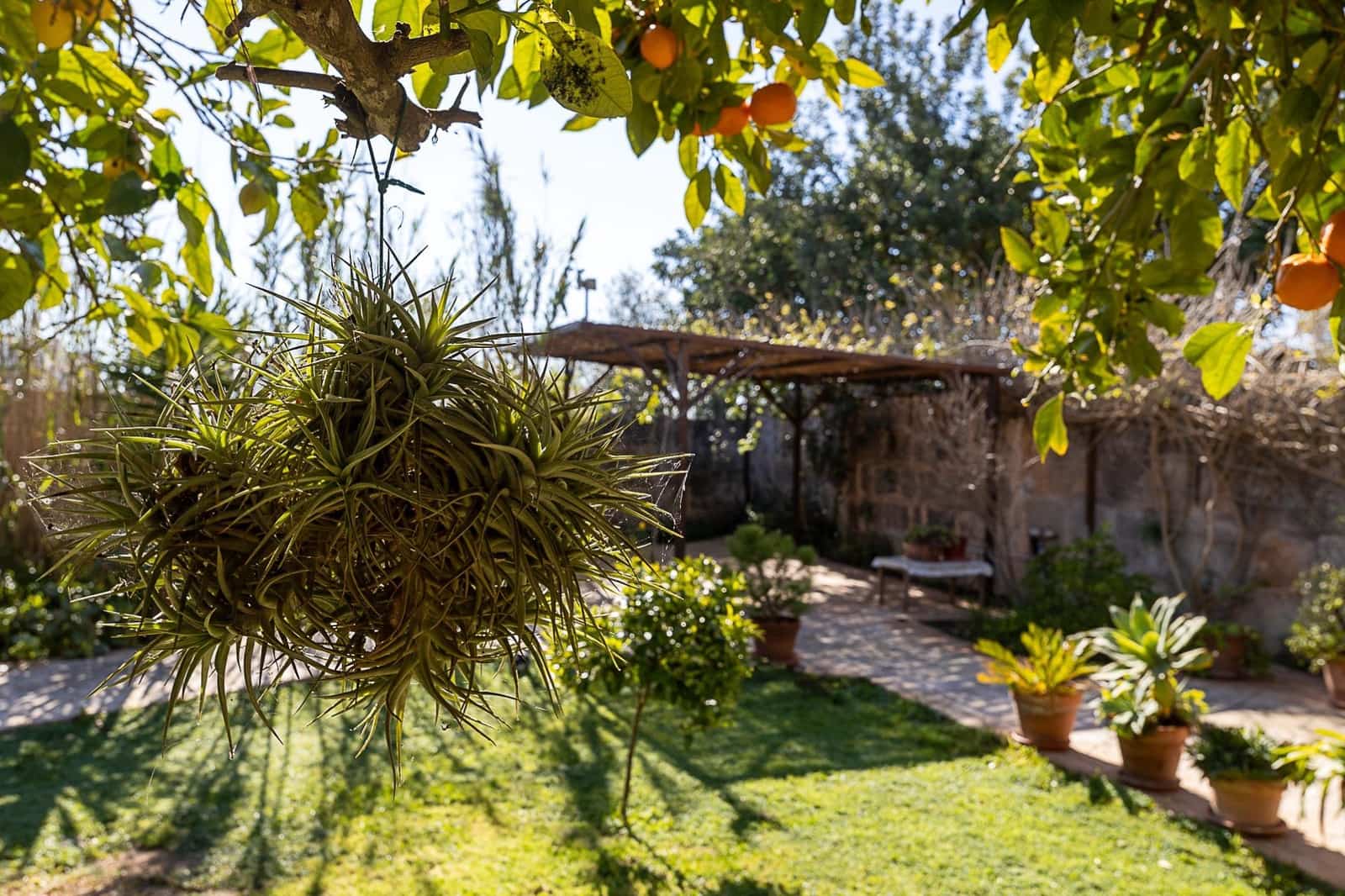 4 bedroom Apartment for sale in Llucmajor with pool garage - € 849,000 (Ref: 9648372)