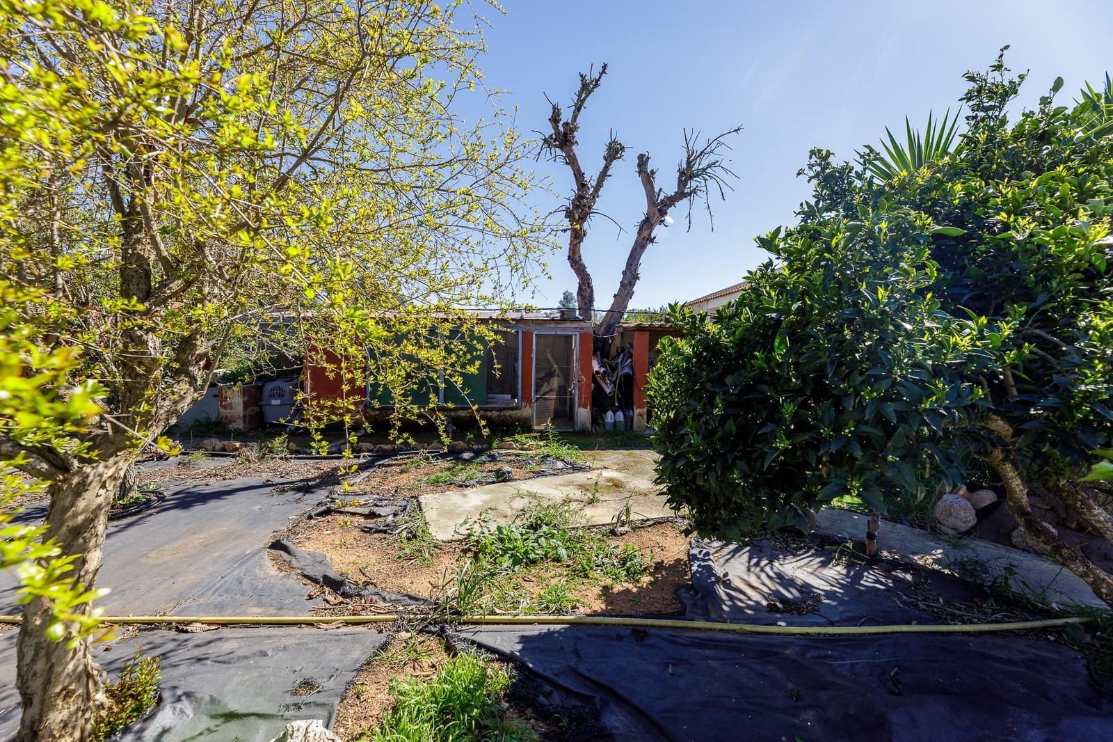 5 bedroom Finca/Country House for sale in Llucmajor with pool - € 630,000 (Ref: 9721883)