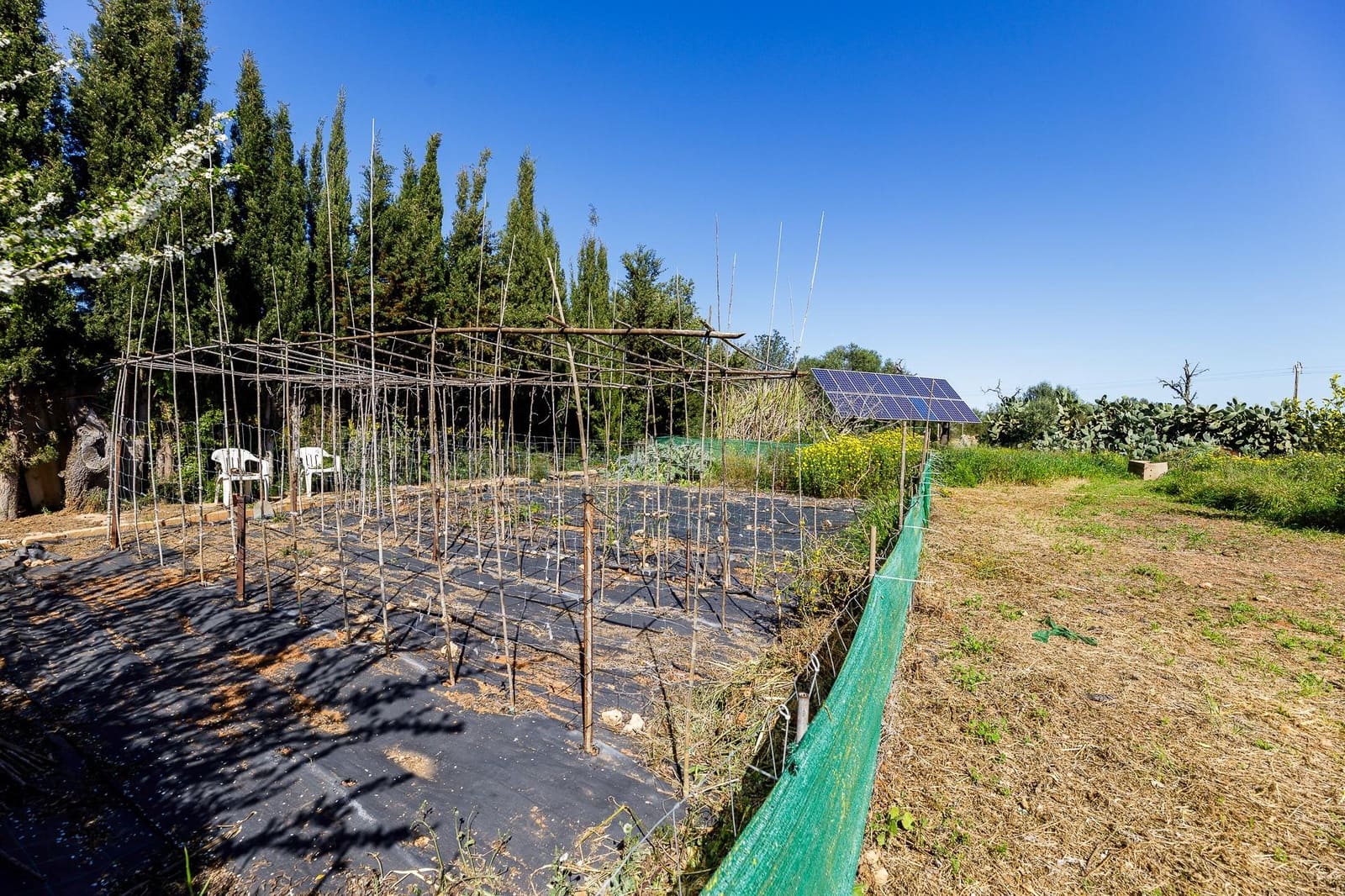 5 bedroom Finca/Country House for sale in Llucmajor with pool - € 630,000 (Ref: 9721883)