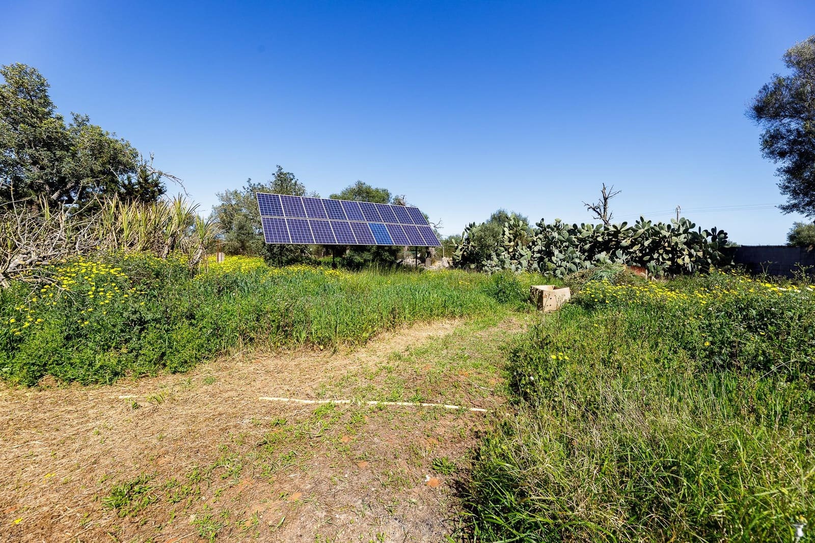 5 bedroom Finca/Country House for sale in Llucmajor with pool - € 630,000 (Ref: 9721883)