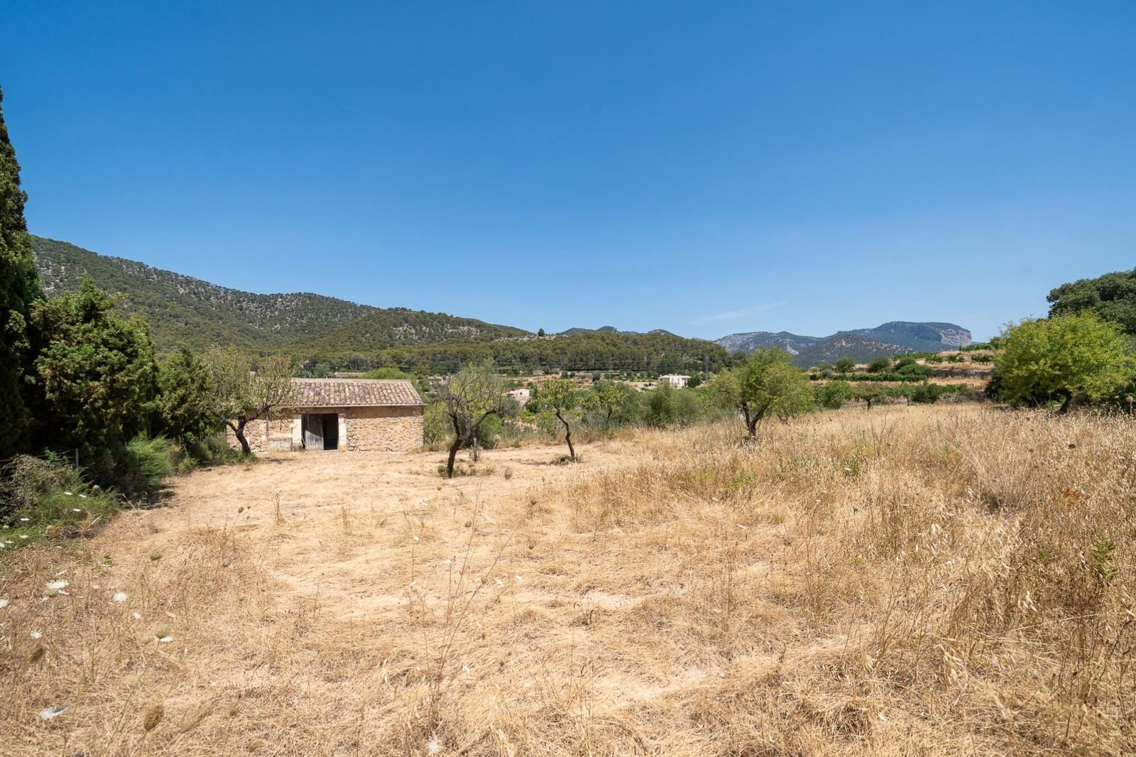 Finca/Maison de Campagne à vendre à Alaro - 190 000 € (Ref: 9977465)