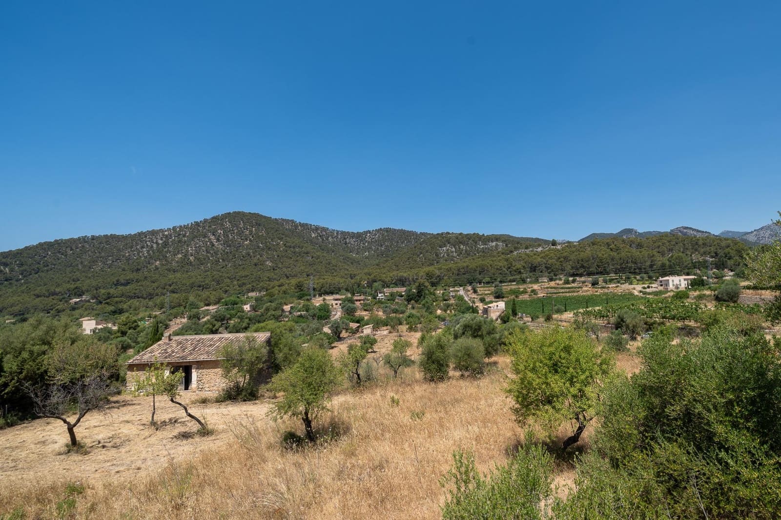 Finca/Maison de Campagne à vendre à Alaro - 190 000 € (Ref: 9977465)