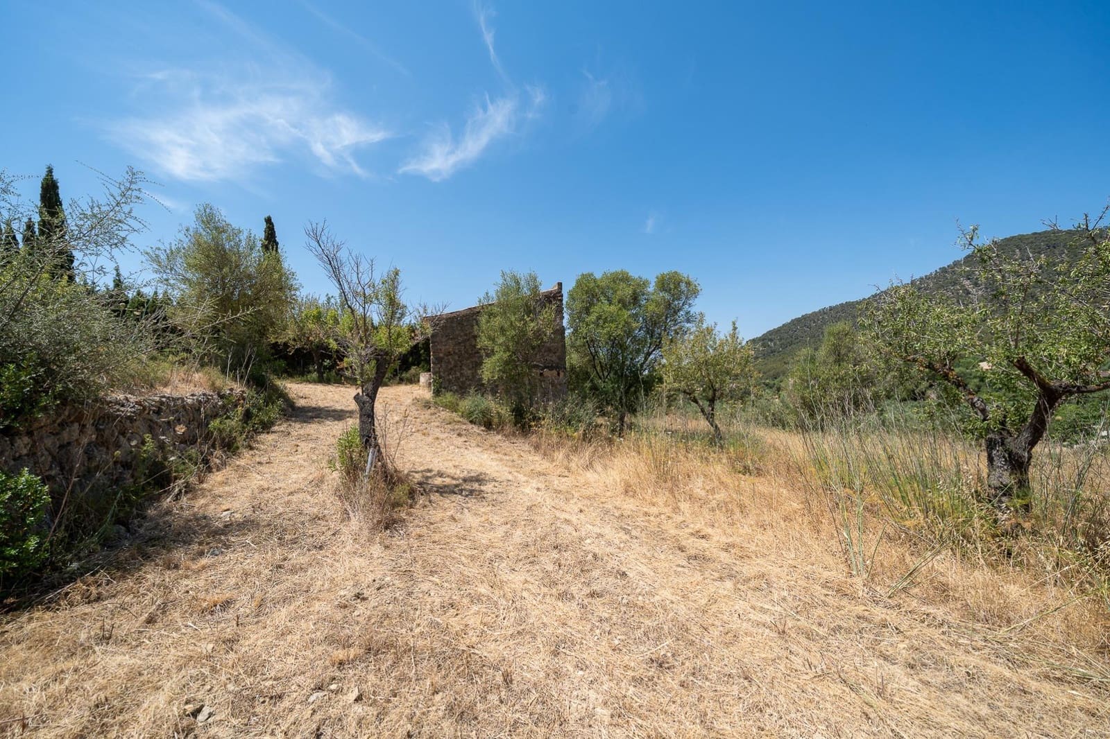 Finca/Maison de Campagne à vendre à Alaro - 190 000 € (Ref: 9977465)