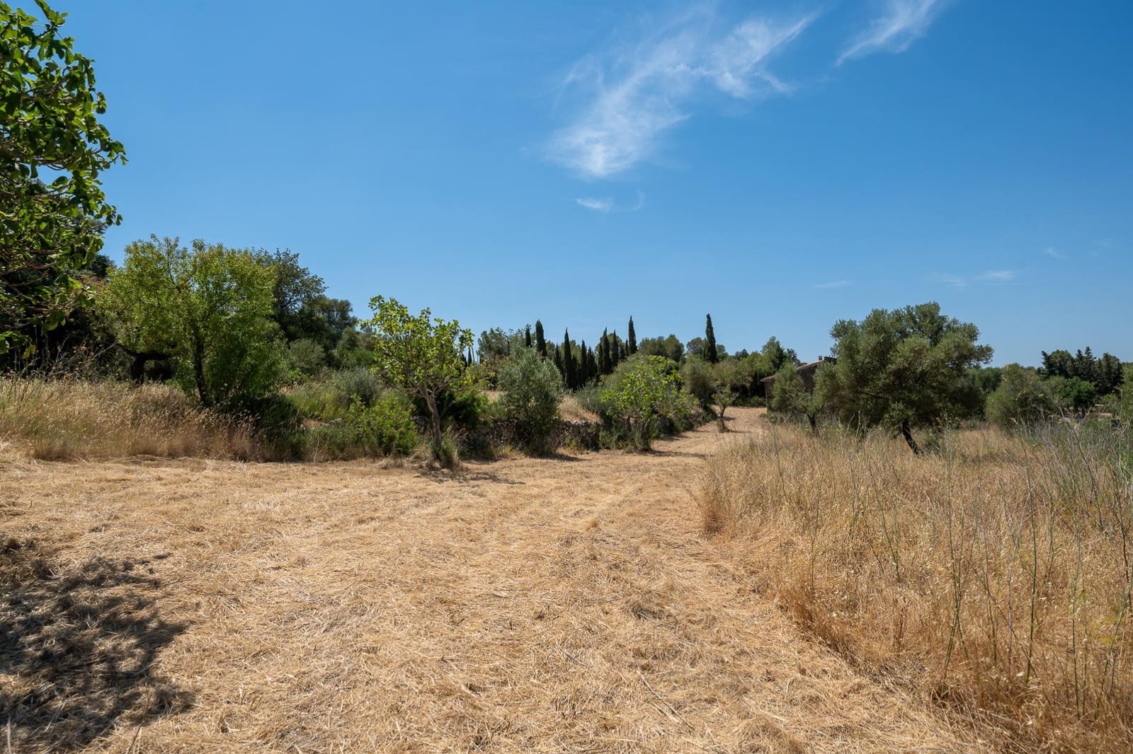 Finca/Maison de Campagne à vendre à Alaro - 190 000 € (Ref: 9977465)
