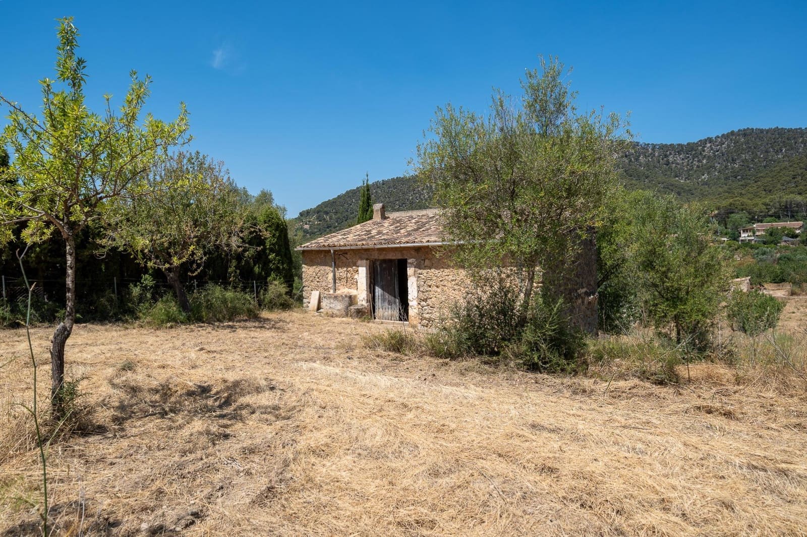 Finca/Maison de Campagne à vendre à Alaro - 190 000 € (Ref: 9977465)