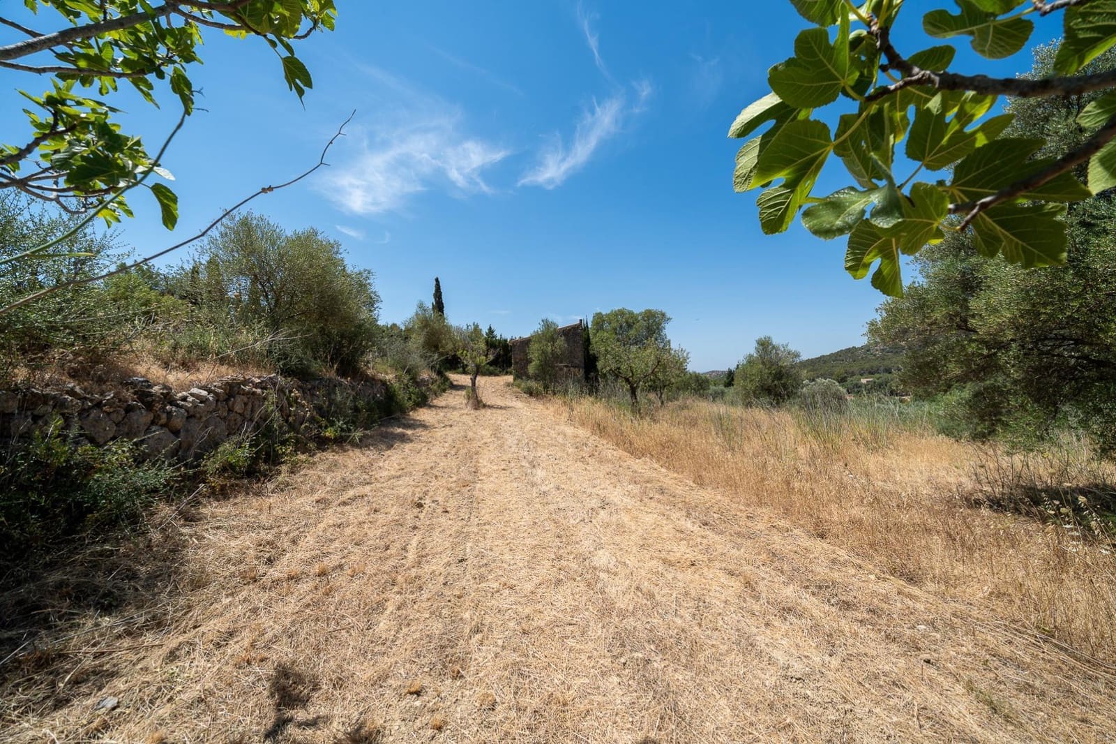 Finca/Maison de Campagne à vendre à Alaro - 190 000 € (Ref: 9977465)
