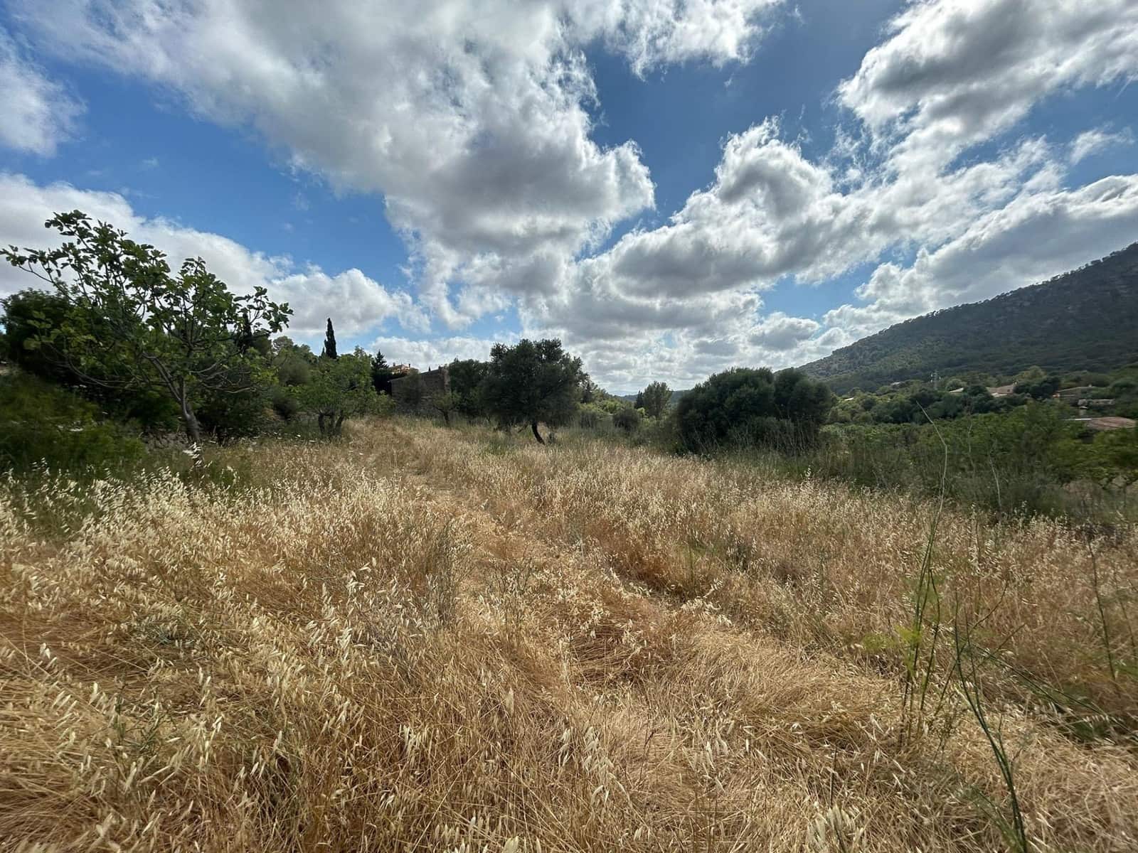 Finca/Maison de Campagne à vendre à Alaro - 190 000 € (Ref: 9977465)
