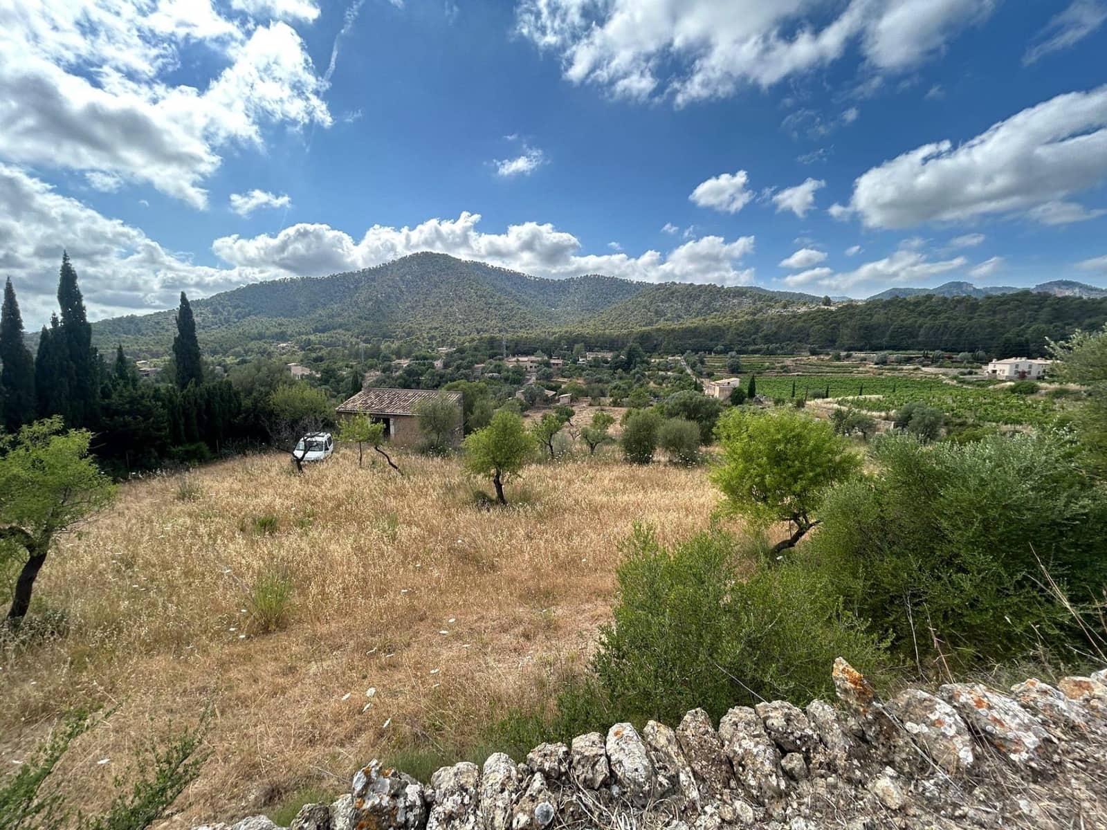 Finca/Maison de Campagne à vendre à Alaro - 190 000 € (Ref: 9977465)