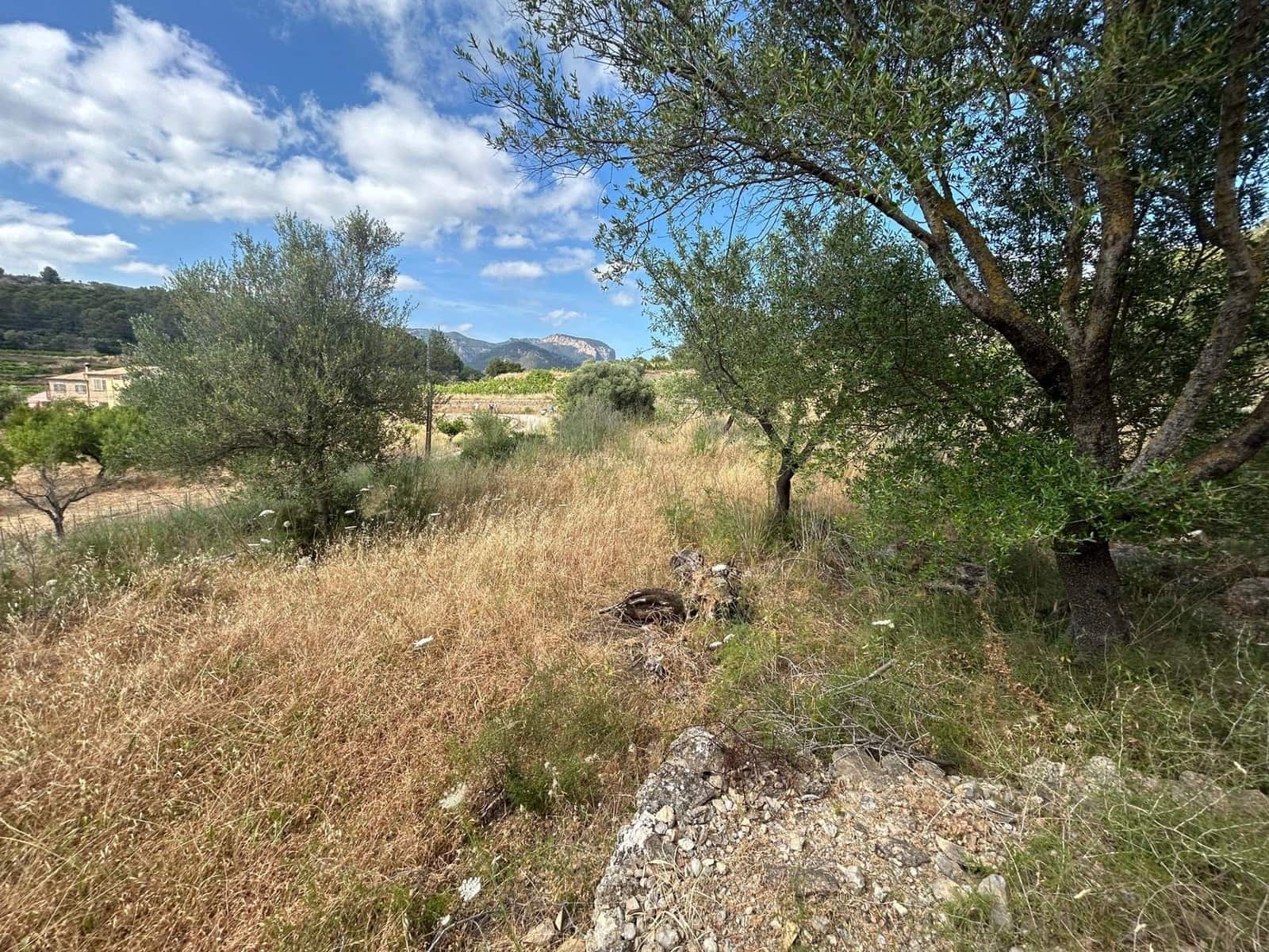 Finca/Maison de Campagne à vendre à Alaro - 190 000 € (Ref: 9977465)