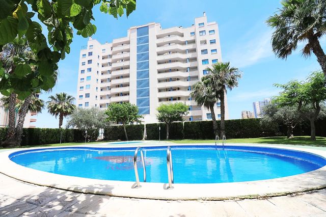 2 soveværelse Lejlighed til leje i Puerto Deportivo, Guardamar del Segura med swimmingpool garage - € 750 (Ref: 8089275)