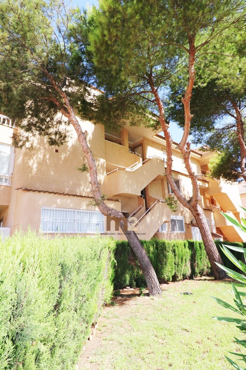 2 soveværelse Lejlighed til leje i Guardamar del Segura med swimmingpool - € 750 (Ref: 9200088)