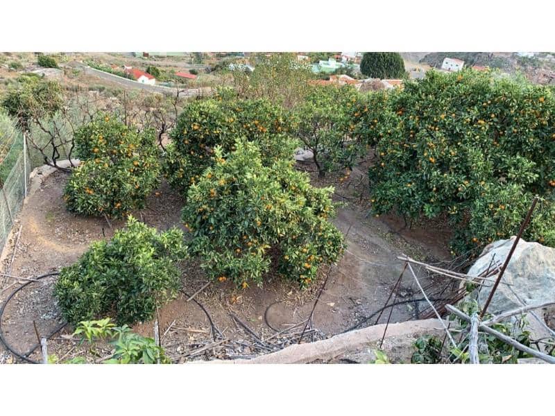 Finca/Casa di Campagna in vendita in Mogan - 103.000 € (Rif: 10024257)