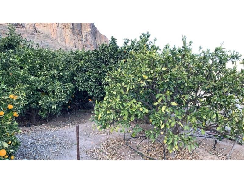 Finca/Casa di Campagna in vendita in Mogan - 103.000 € (Rif: 10024257)