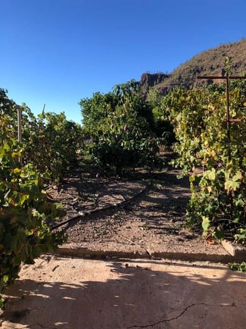 Rakentamaton maa myytävänä paikassa Mogán - 56 500 € (Ref: 7984538)