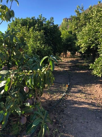 Rakentamaton maa myytävänä paikassa Mogán - 56 500 € (Ref: 7984538)