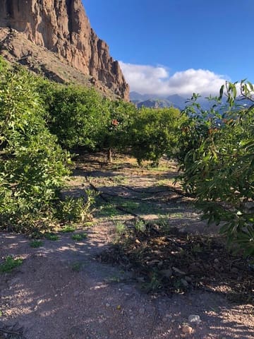 Rakentamaton maa myytävänä paikassa Mogán - 56 500 € (Ref: 7984538)