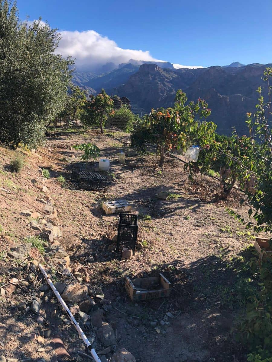 Mark till salu i Mogan - 55 000 € (Ref: 7984538)