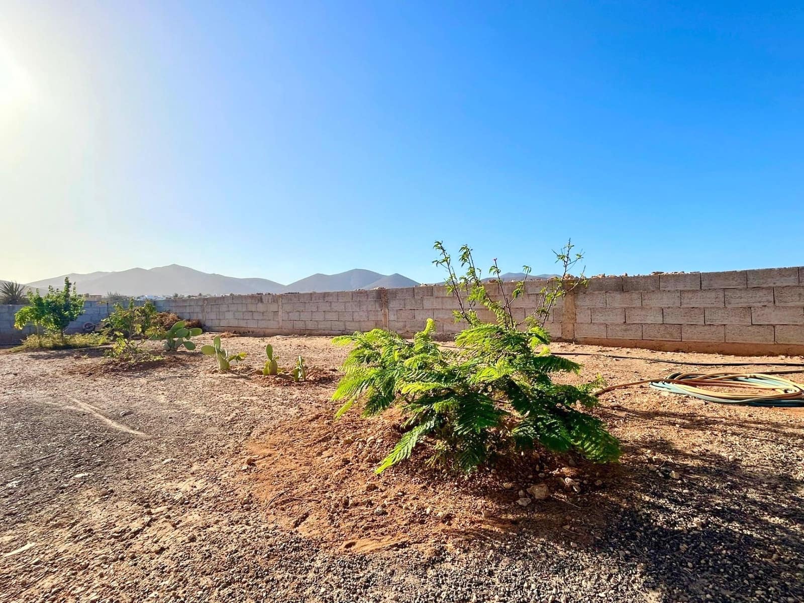 3 makuuhuone Maalaistalo myytävänä paikassa Tuineje - 425 000 € (Ref: 9602784)