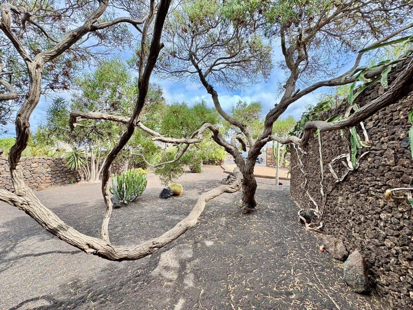 Chalet de 3 habitaciones en Yaiza en venta con garaje - 920.000 € (Ref: 9602794)