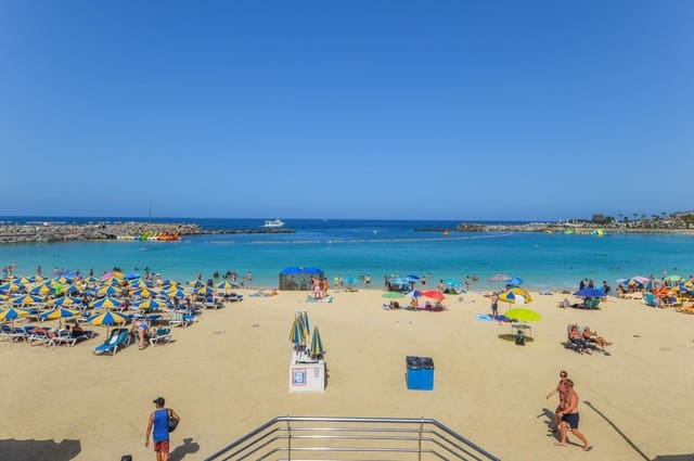 Firma/Unternehmen zu vermieten in Puerto Rico, Mogán - 2.000 € (Ref: 9602801)