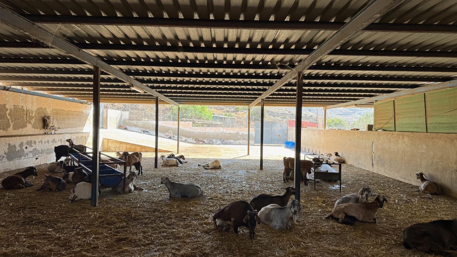 5 Zimmer Finca/Landgut zu verkaufen in La Aldea de San Nicolas - 850.000 € (Ref: 9602803)