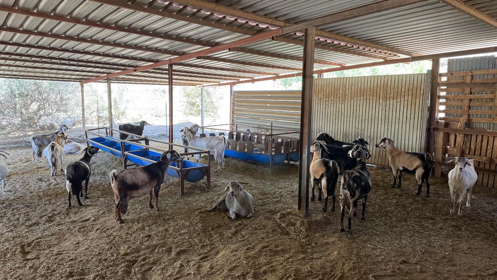 5 Zimmer Finca/Landgut zu verkaufen in La Aldea de San Nicolas - 850.000 € (Ref: 9602803)