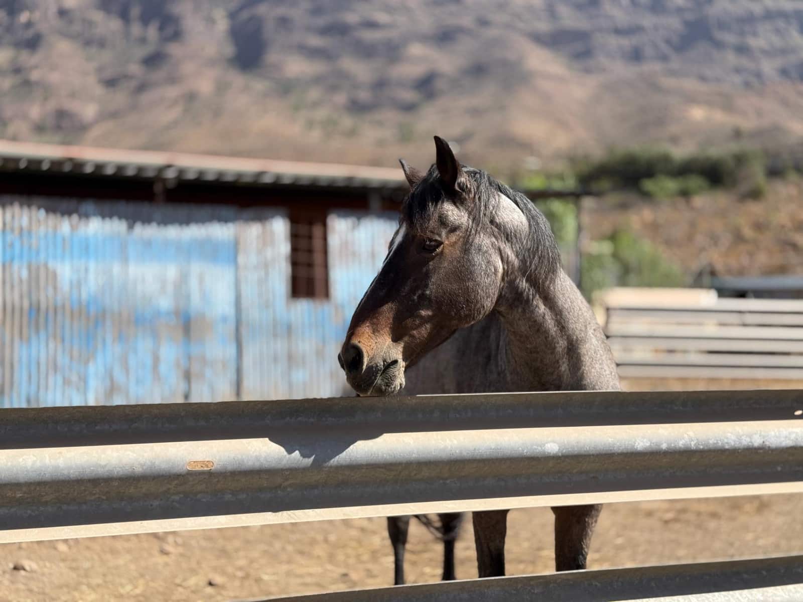 5 Zimmer Finca/Landgut zu verkaufen in La Aldea de San Nicolas - 850.000 € (Ref: 9602803)